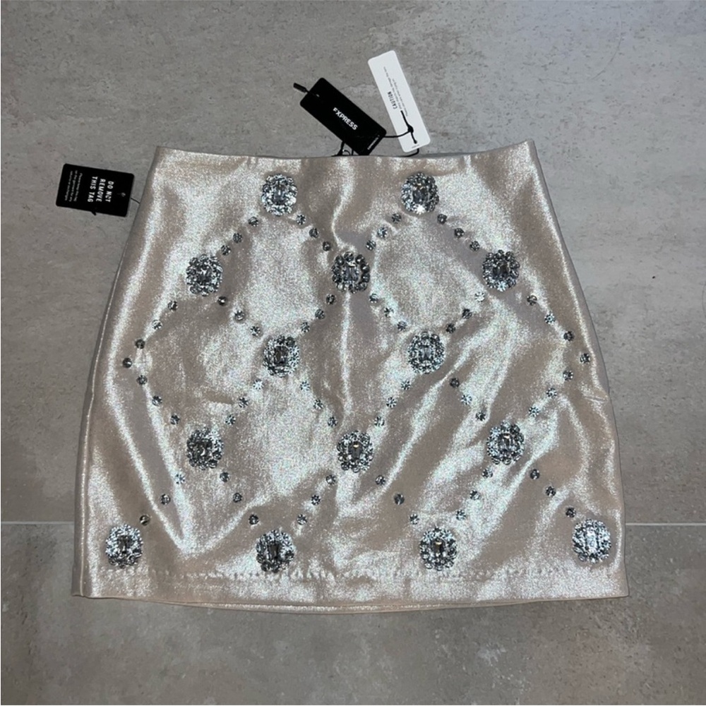 Elegant Silver Embellished Skirt EXPRESS